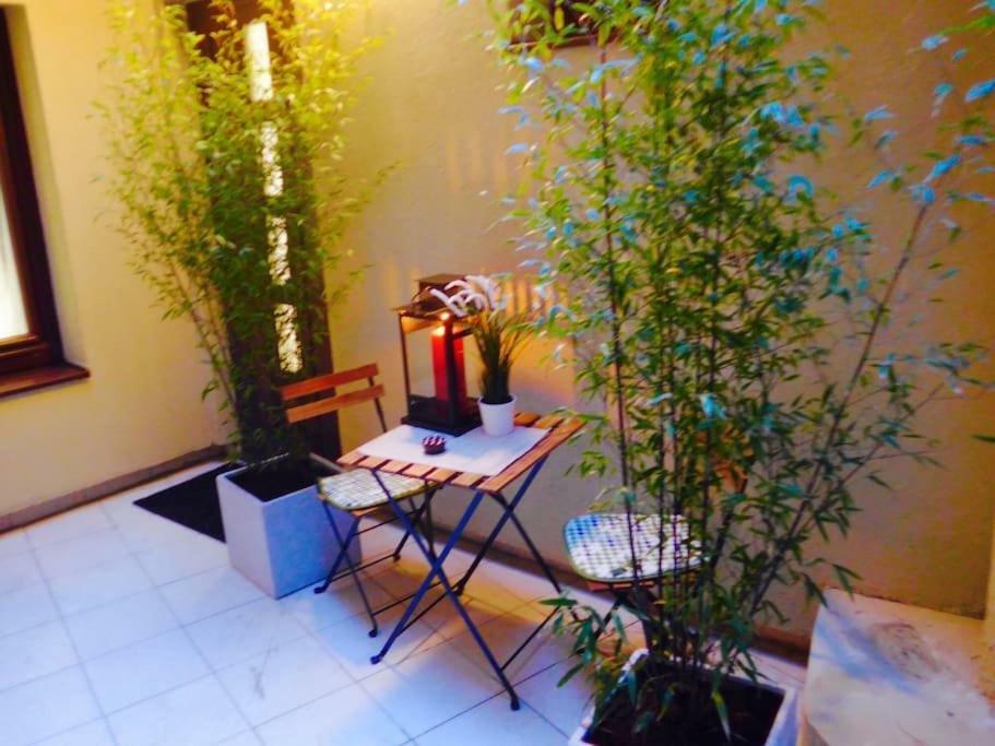 Cosy&Private,30Sec Walk To Mainsquare, Heart Of Zagreb Lejlighed Eksteriør billede